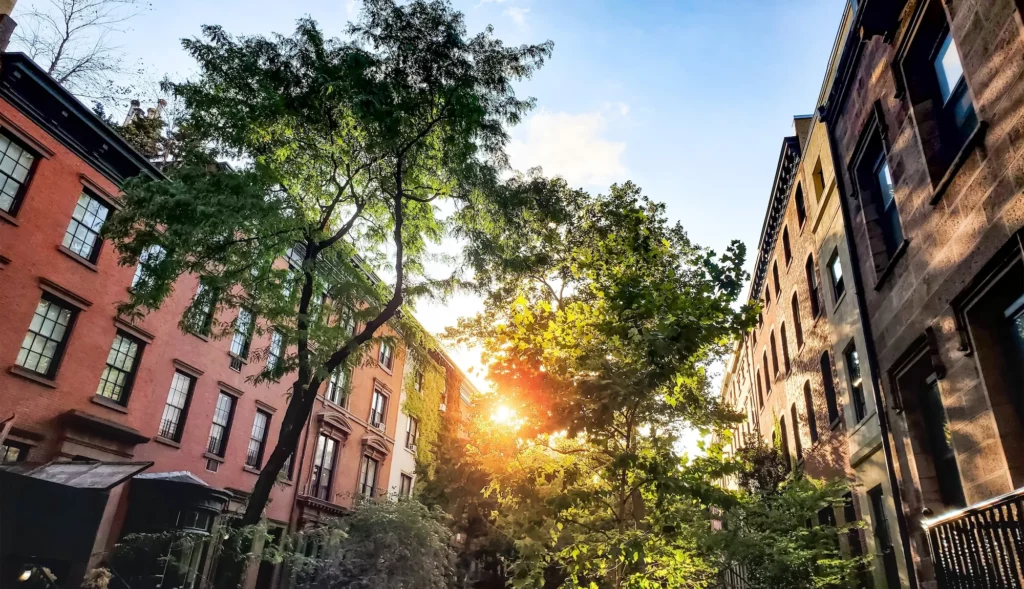 Living in Tree-Filled Neighborhoods May Benefit Heart Health as Much as Exercise